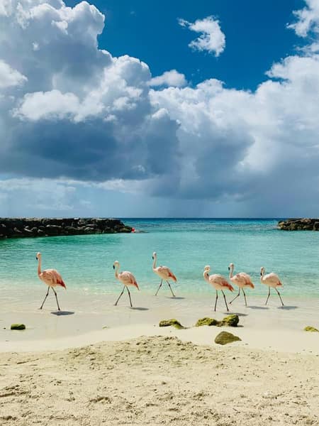 Aruba